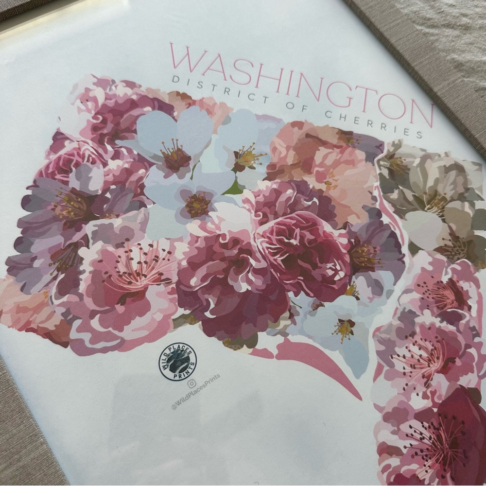 Washington District of Cherries Floral Art Print FRAMED